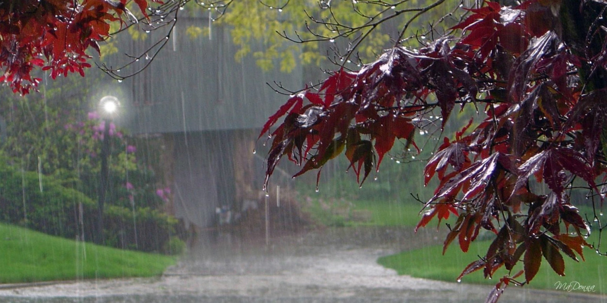 Rain in Punjab and Haryana Rain in Punjab, Haryana likely today, more