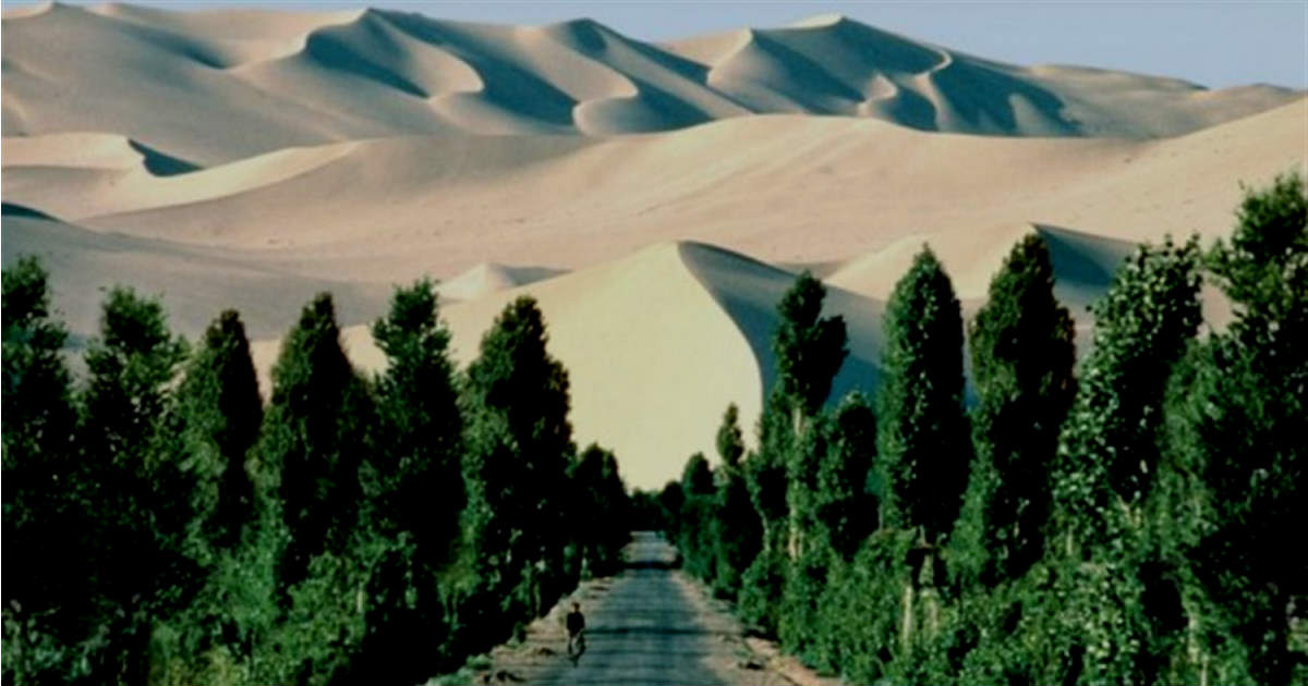 Great Green Belt in India Latest news and update on Great Green Belt