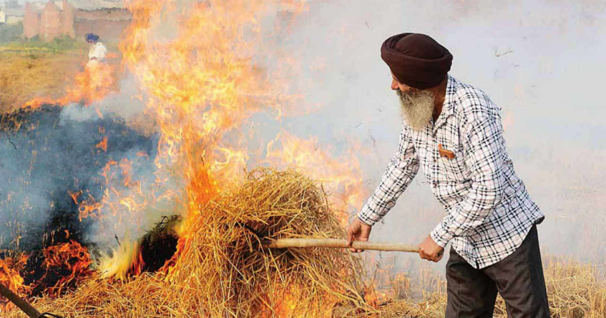 Stubble Burning Punjab