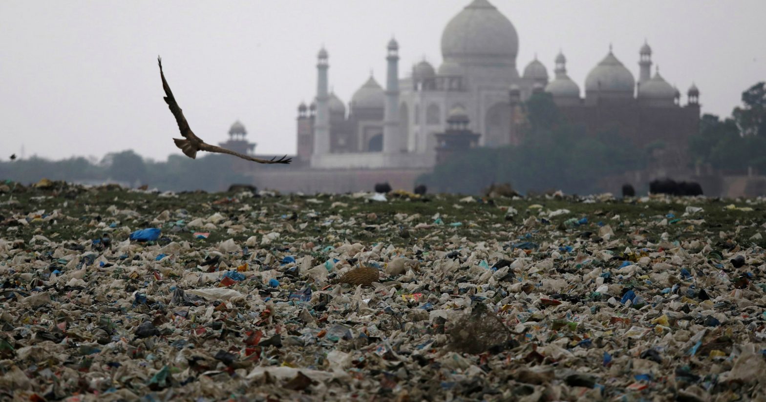 Taj Mahal pollution