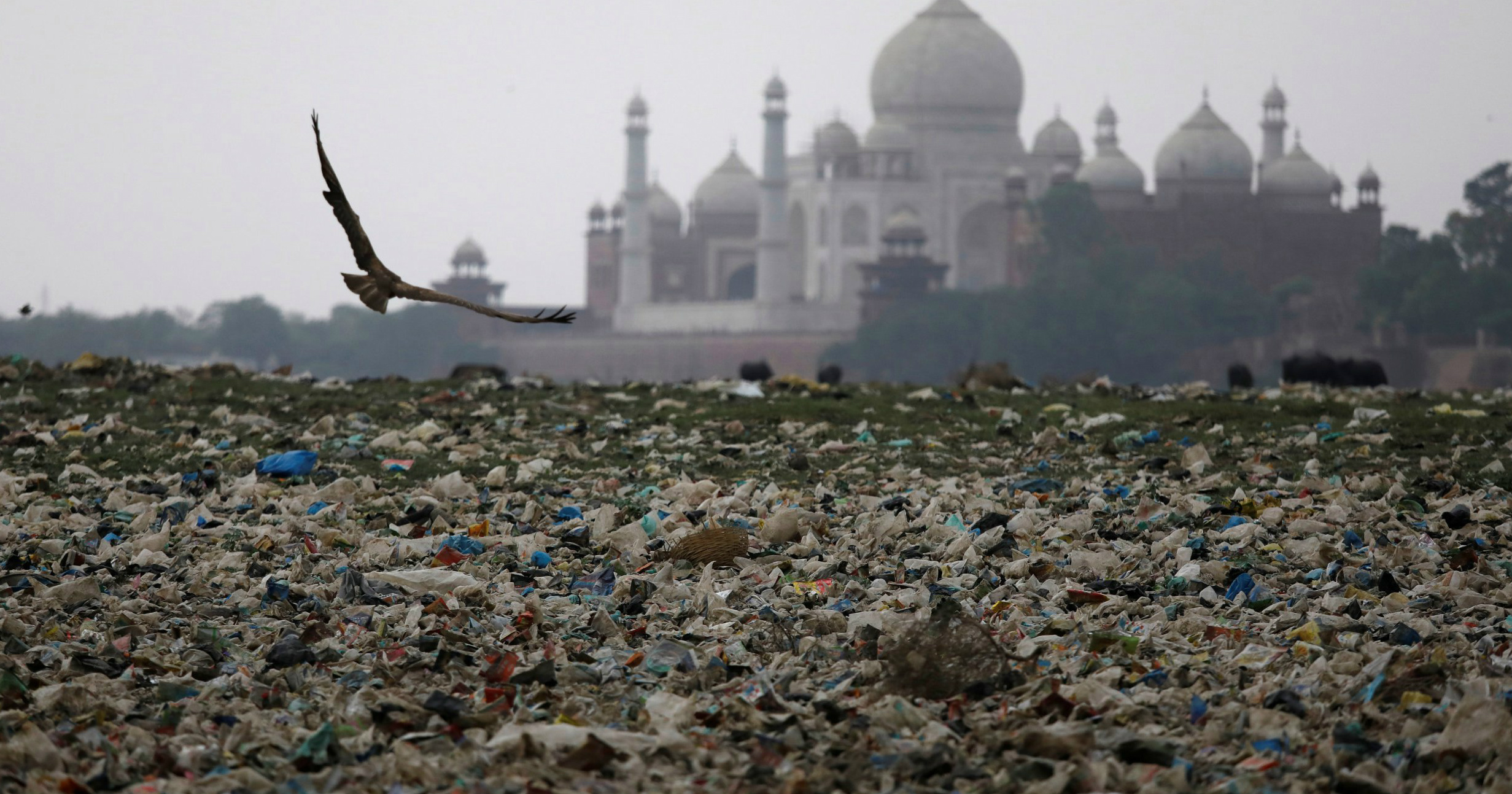 Air pollution in Agra Authorities install air purifiers near Taj Mahal