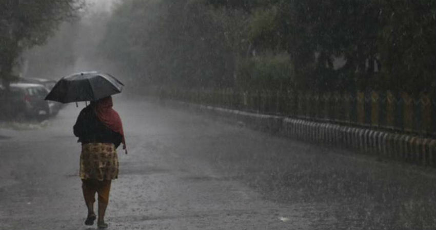 Winter rain in Punjab and Haryana