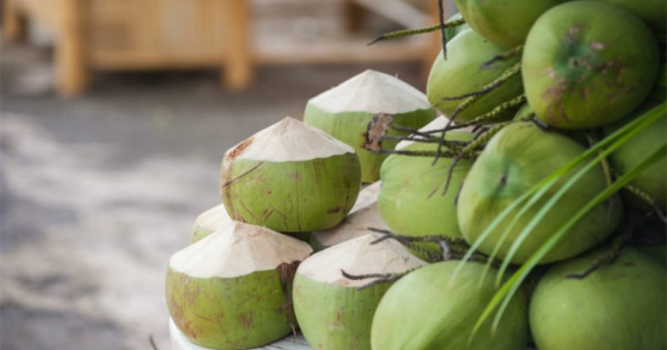 Coconut Production in Tamil Nadu Latest news and update on Coconut