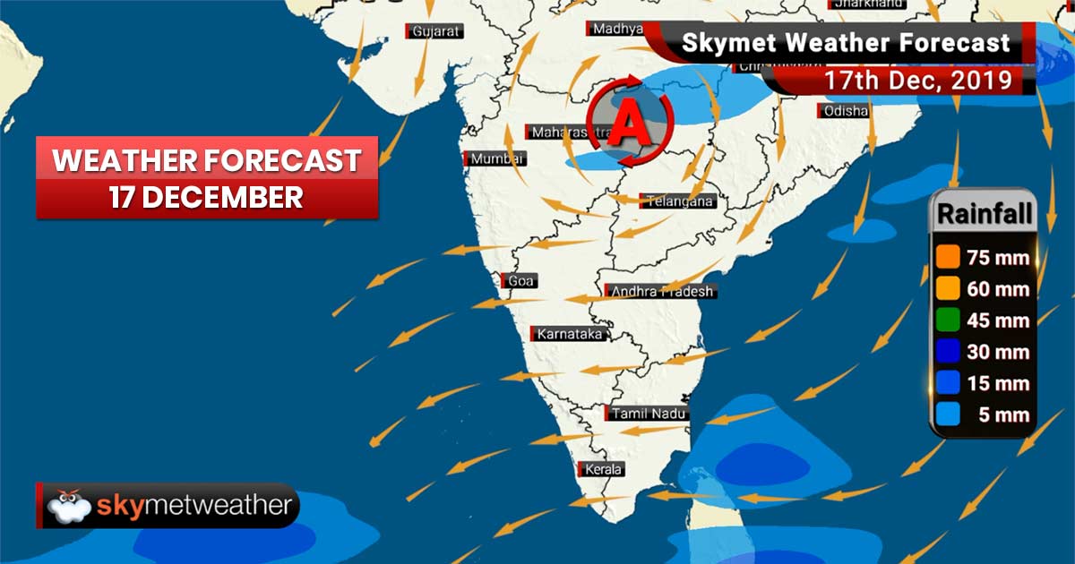 Weather Forecast Dec 17: Cold day conditions in Delhi, Punjab, Haryana, Chandigarh