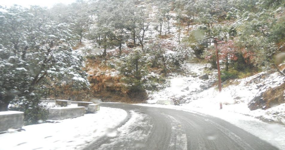 Mussoorie snow Latest news and update on Mussoorie snow