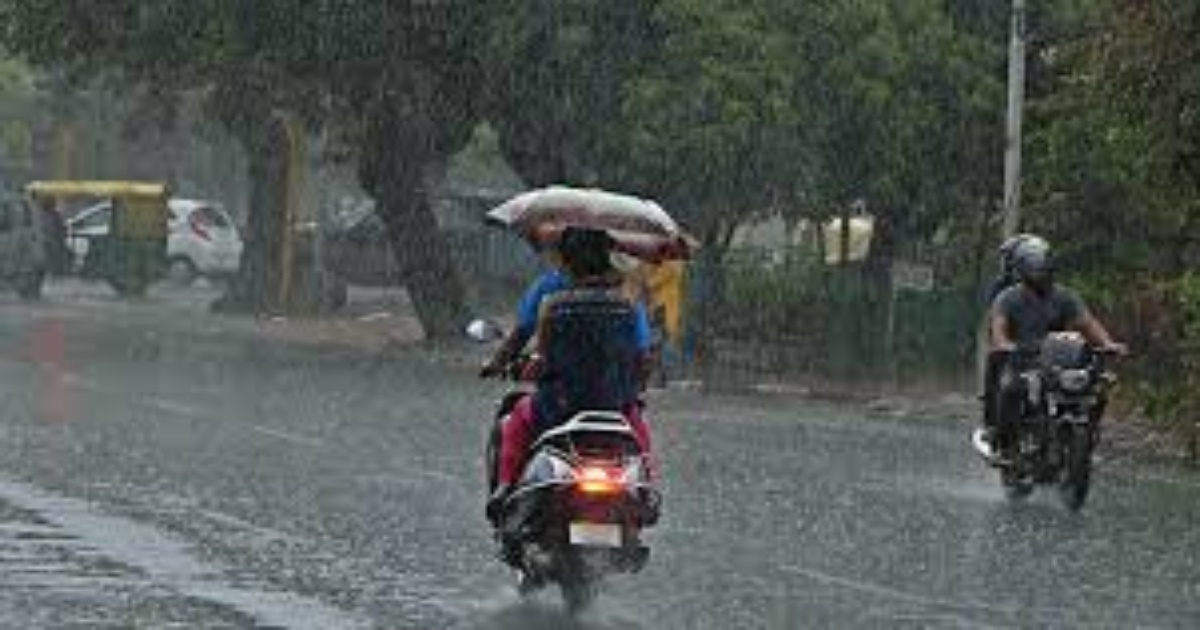 haryana rains