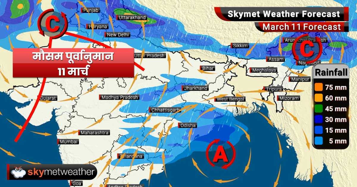 Weather Forecast for Mar 11: Amritsar, Ambala, Delhi-NCR, Chandigarh, Jaipur to get fresh spell of rains