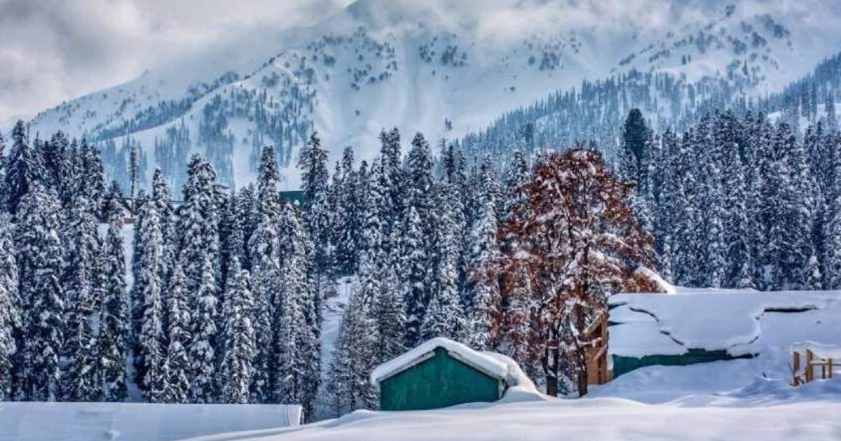 Kashmir Snow