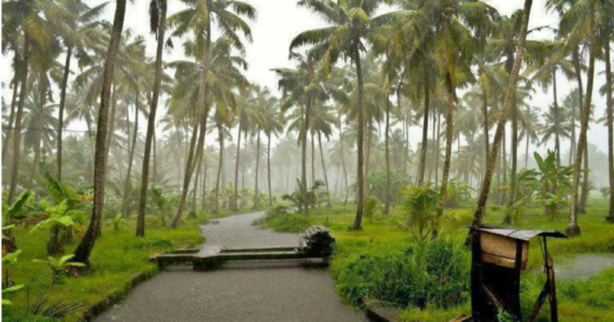 Rain in Kerala Today FB