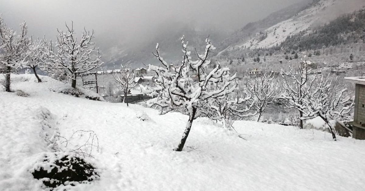 snowfall in manali